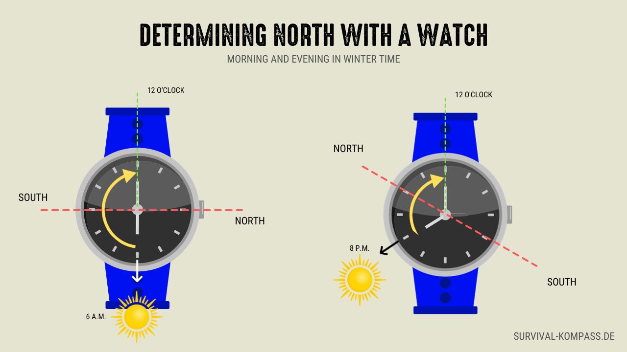 Determine the directions with your watch: In the morning and evening in standard time