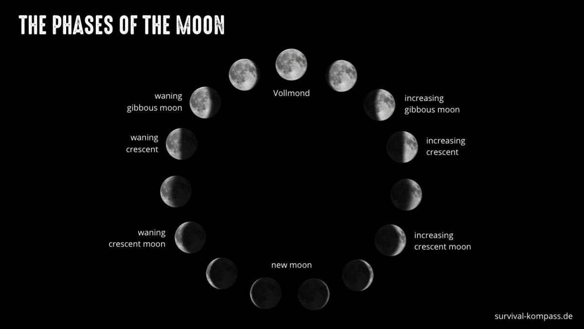 The different phases of the moon
