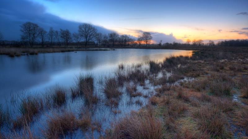 Bogs and moors pose a danger