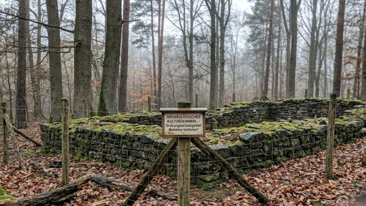 moosbedeckt steinruine wald