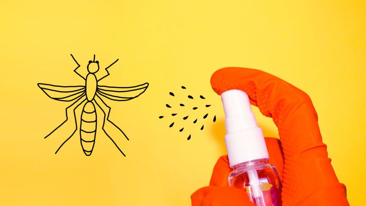 Chemical mosquito repellent can cause side effects