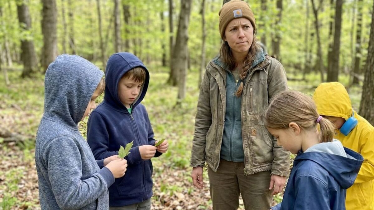 11 Fehler, die du als Naturpädagogin schon jahrelang machst – und wie du sie loswirst