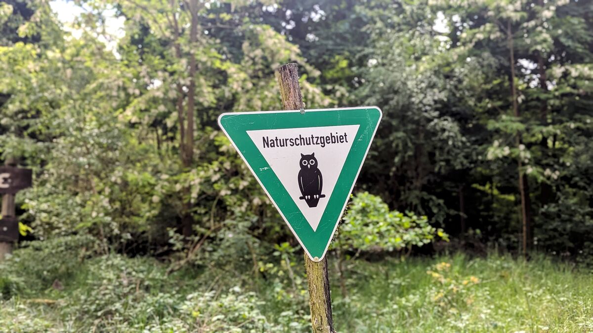 Essbare Wildpflanzen erkennen – so gelingt es dir sicher naturschutzgebiet schild