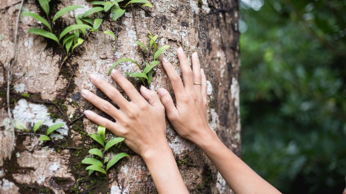 The power of connecting with nature and why it helps you