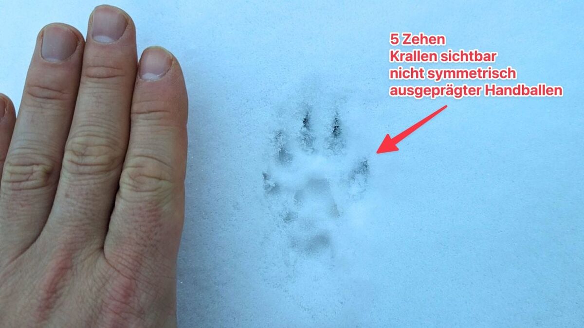 nl 257fc39e0b7b266b0e770a1cadc3e014c1d6f16a