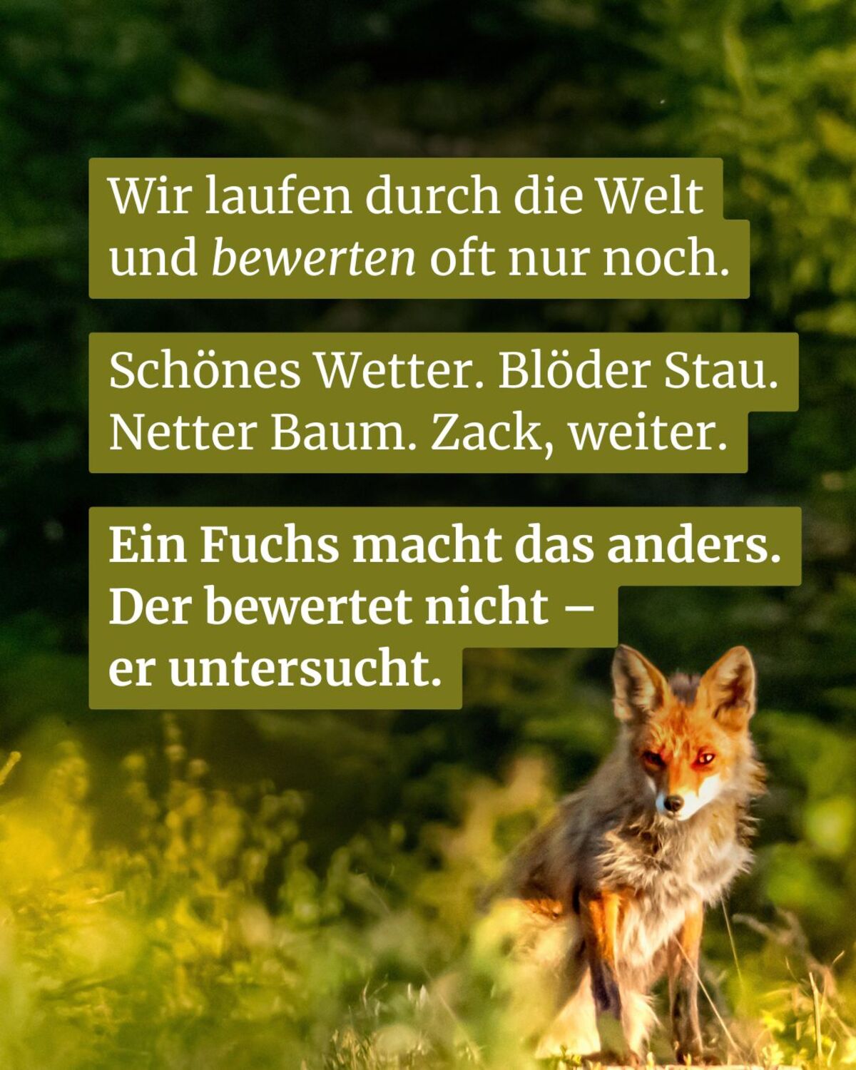 Die F.I.A.B. Mail (Freitag, 17.07.2026) nl fuchsblick
