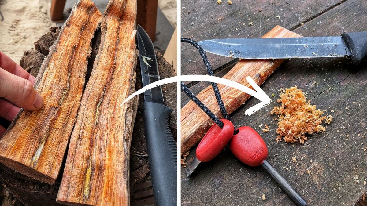 Die F.I.A.B. Mail (Freitag, 03.04.2026) nl kienspan lagerfeuer