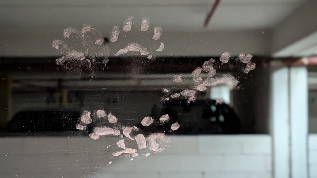 nl marder autoscheibe