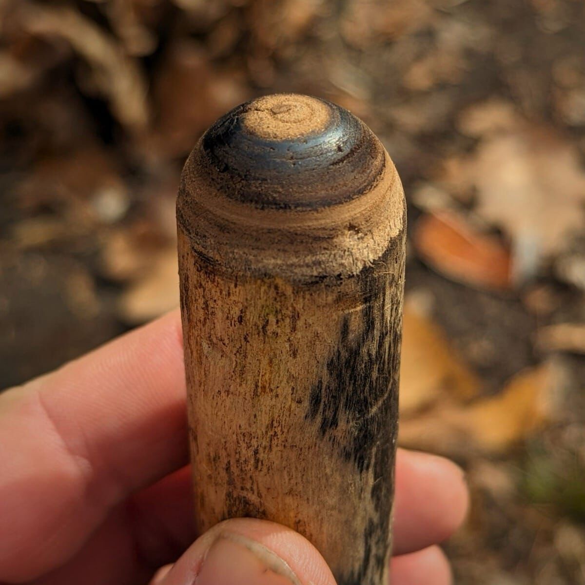 Die F.I.A.B. Mail (Freitag, 31.10.2025) nl spindel