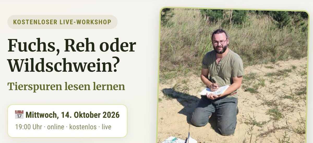Die F.I.A.B. Mail (Freitag, 04.04.2025) nl workshop tierspuren