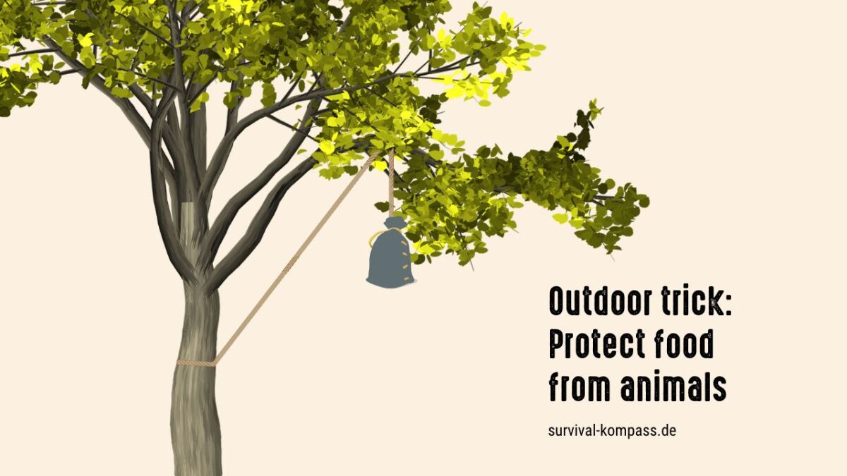 Protect food from animals by hanging it on a tree