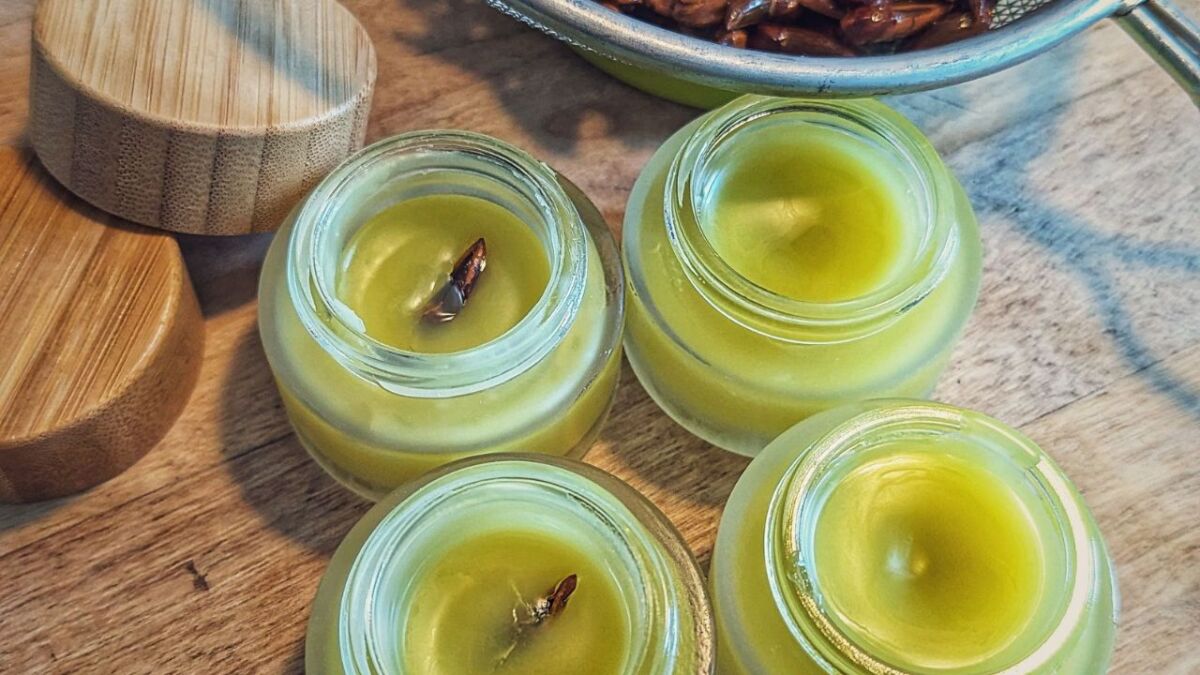 pappel salbe mit bienenwachs olivenoel