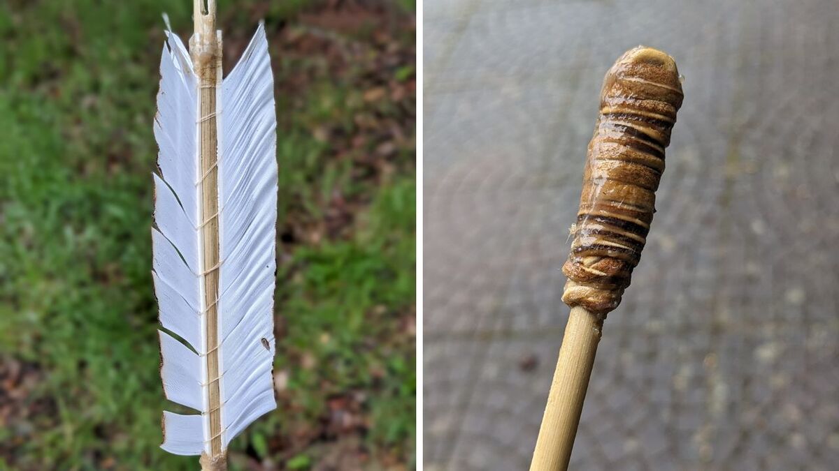 Wildverwertung: Was du aus einem Reh alles machst pfeil befiederung und blunt spitze