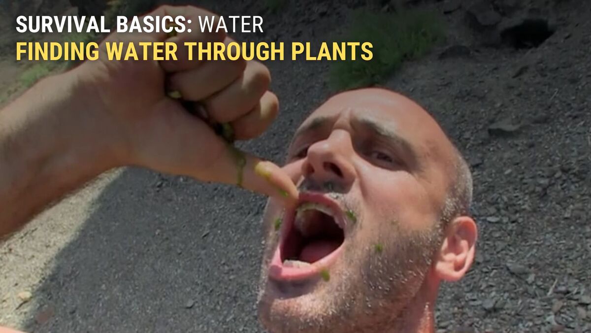 Squeezing plants to obtain water