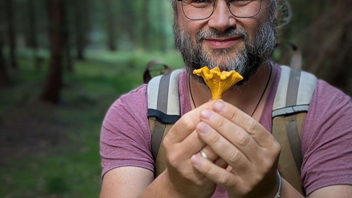 Danksagung vs. Gebet: Der entscheidende Unterschied pilz in der hand