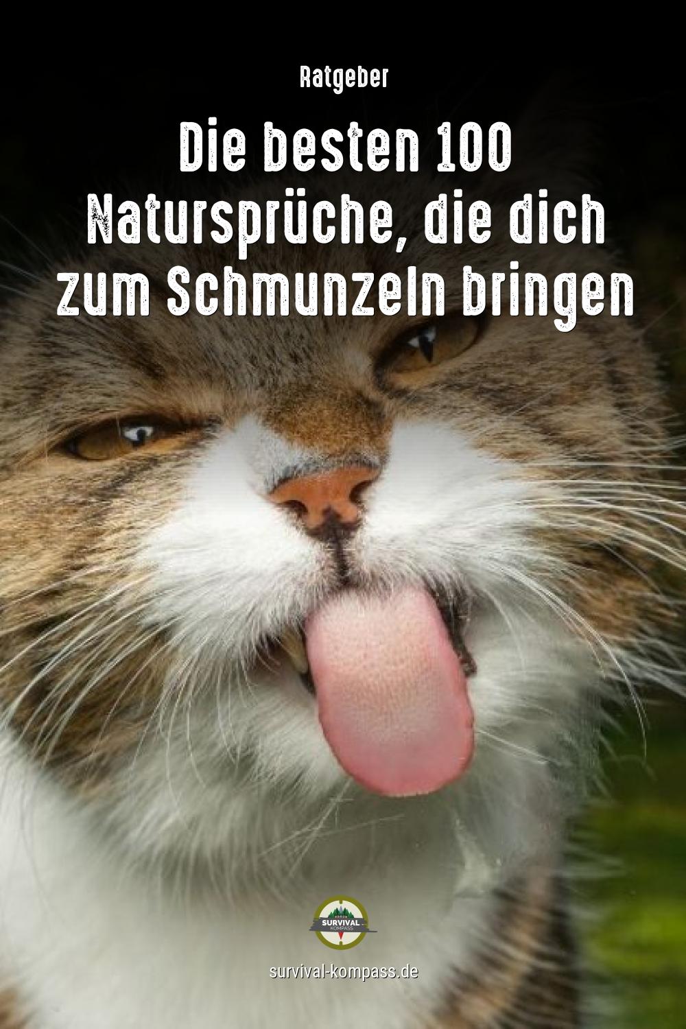 100 witzige Natursprüche, die dich zum Schmunzeln bringen
