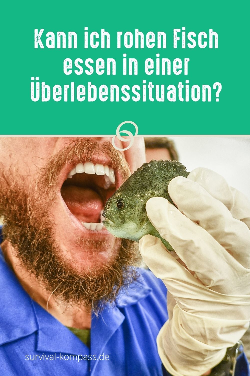 Kann ich rohen Fisch essen in einer Überlebenssituation?