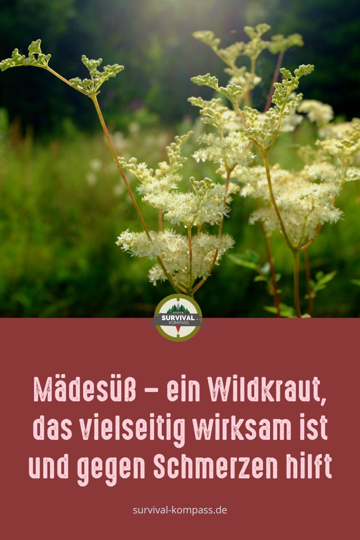 Madesuss Sirup Wirkung