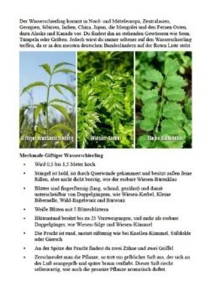 Vorschau Bild 1 zum E-Book Pocket Field Guide: Giftpflanzen