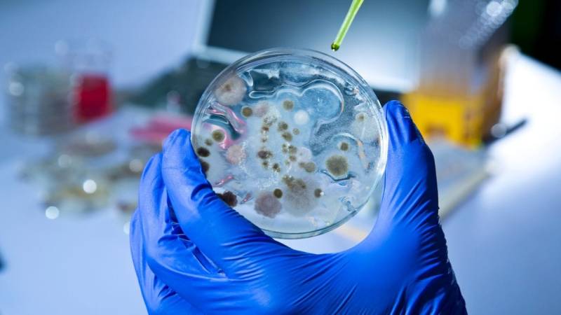 Seuchen durch Viren und Bakterien können immer wieder auftreten - die Antibiotikaforschung wird zurückgefahren