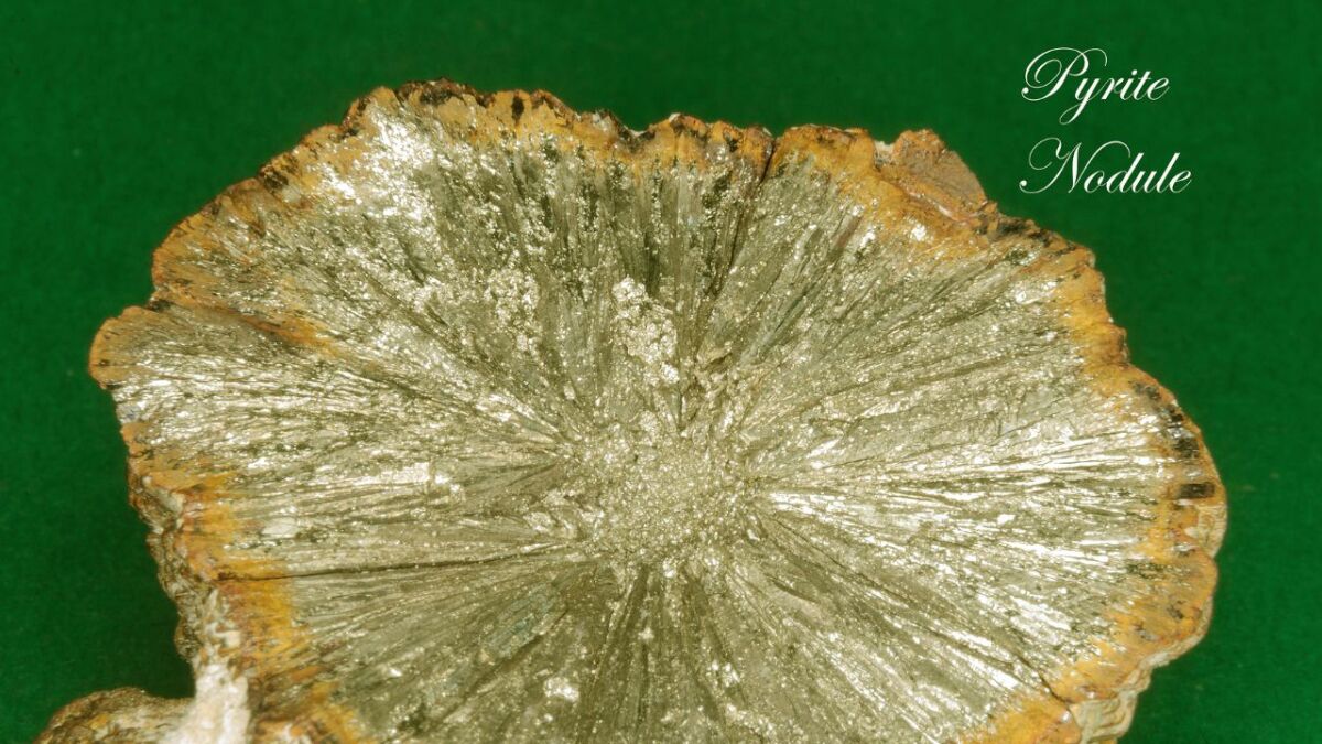 An open pyrite nodule