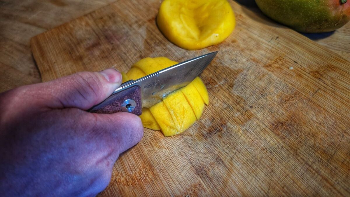 real steel cvx 80 red micarta bushcraftmesser review test mango schneiden