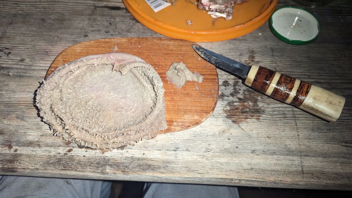 Wildverwertung: Was du aus einem Reh alles machst Der Pansen (Vormagens bei Wiederkäuern) vom Reh für die Weiterverarbeitung