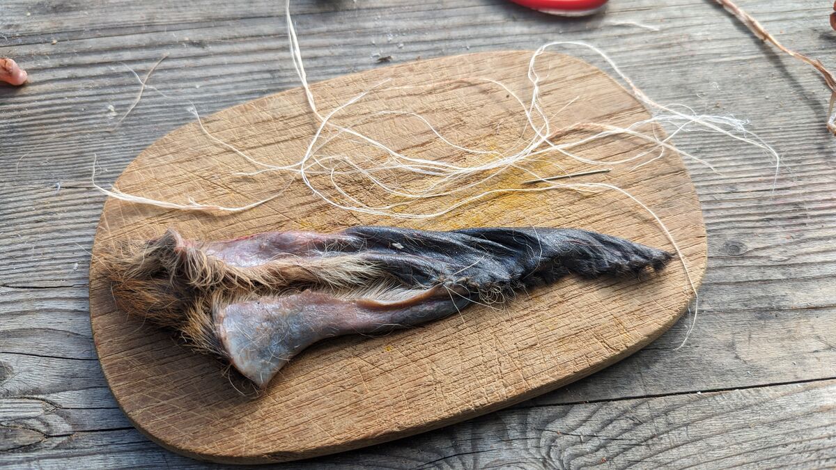 Wildverwertung: Was du aus einem Reh alles machst Ein Ohr vom Rehwild für einen kleinen Beutel