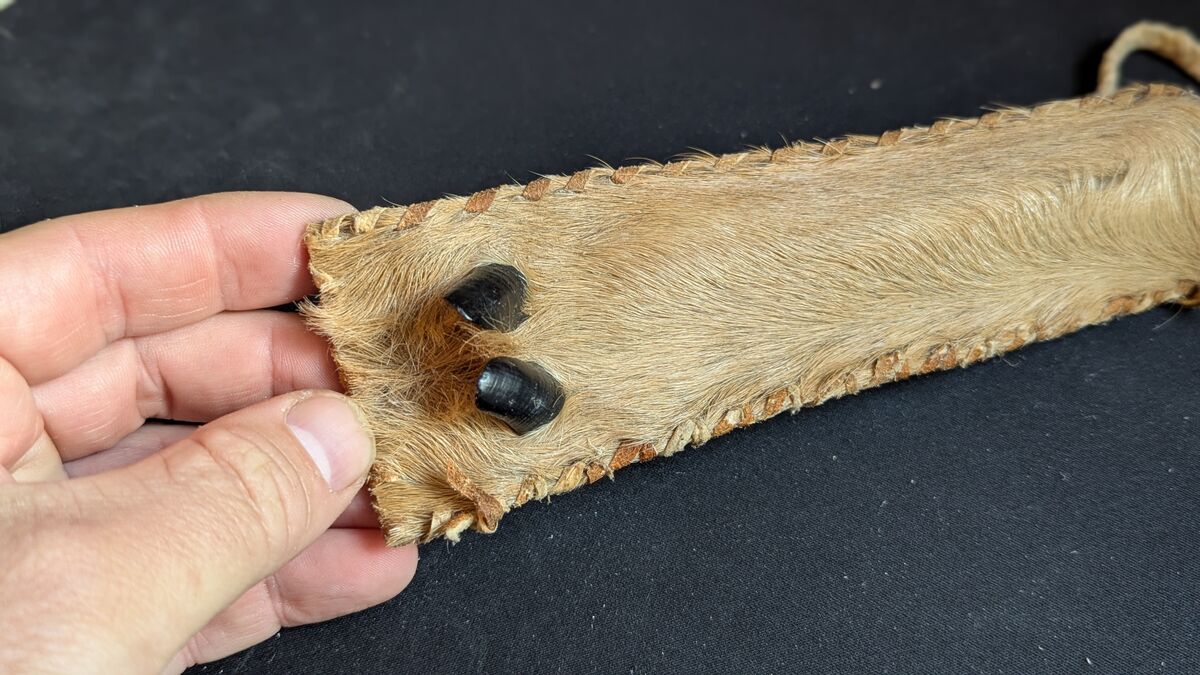 Wildverwertung: Was du aus einem Reh alles machst rehwild beutel tasche mit afterklauen