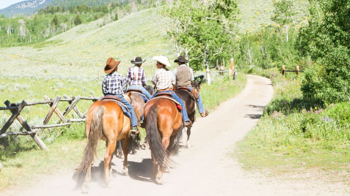 reiten outdoor aktivitaeten fuer familien