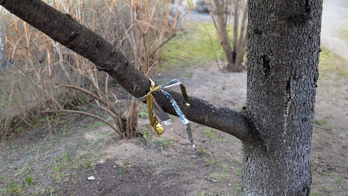 rettungsdecke als markierung am baum