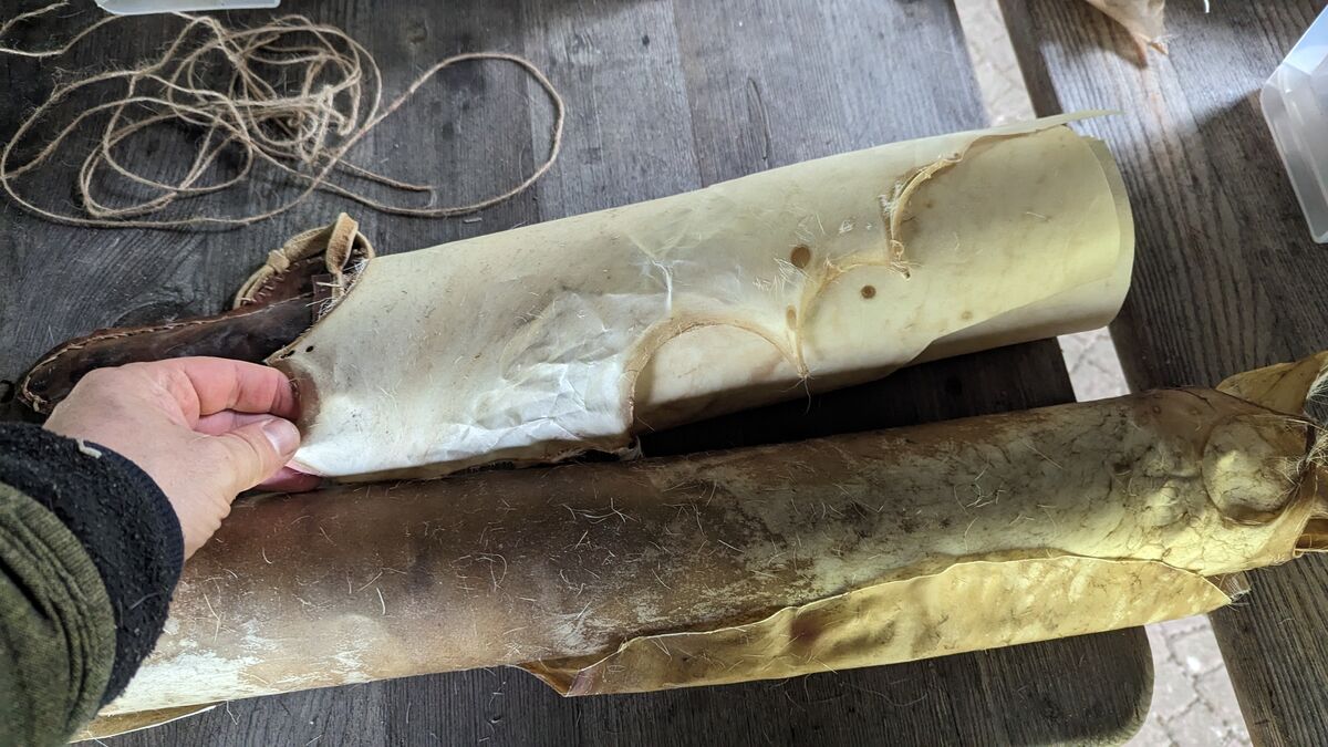 Wildverwertung: Was du aus einem Reh alles machst Rohhaut vom Rehwild