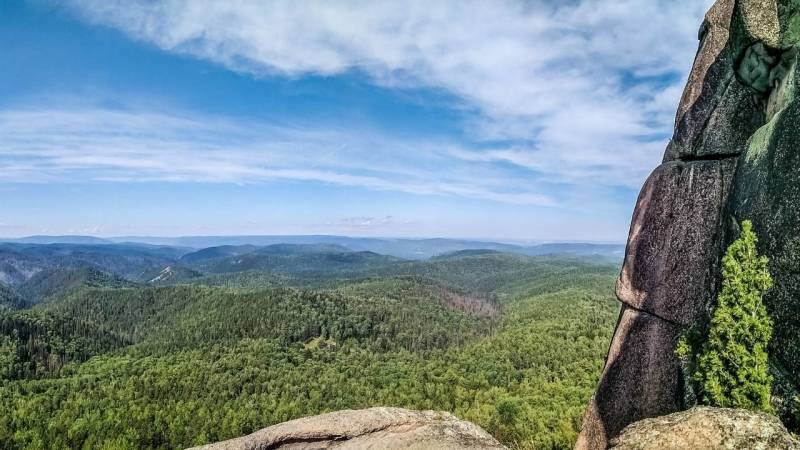 Russlands Taiga ist endlos und harsch