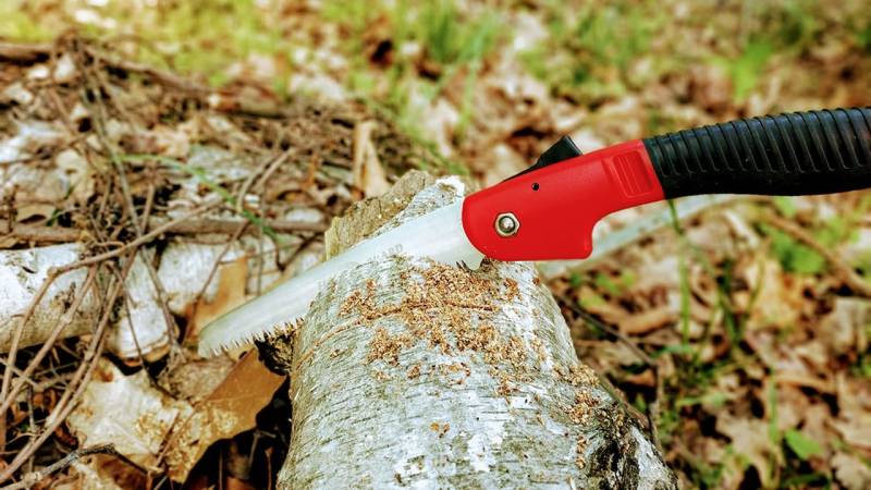 A folding saw belongs in the backpack +Test of an 8€ saw