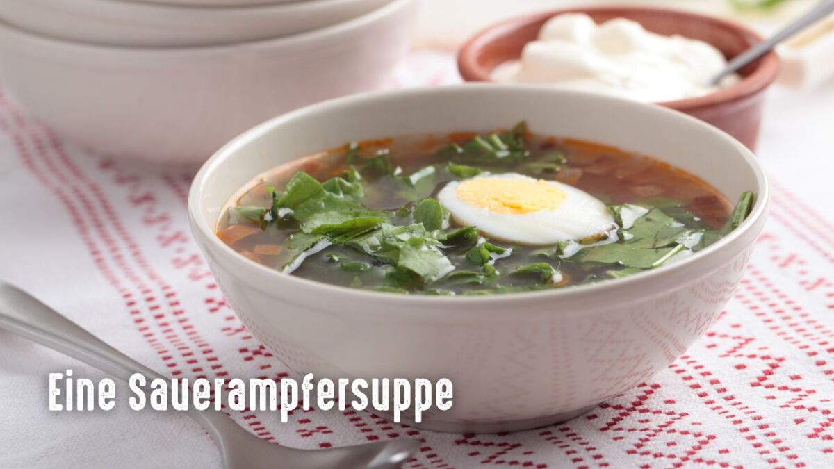 sauerampfer suppe 1