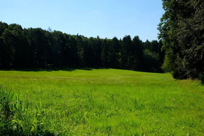 Tipp: Schlafe am Waldrand, dort ist es nicht so dunkel wie mitten im Wald