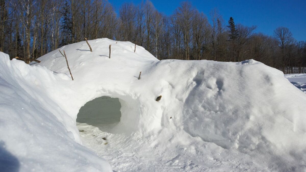 schneehoehle shelter 1