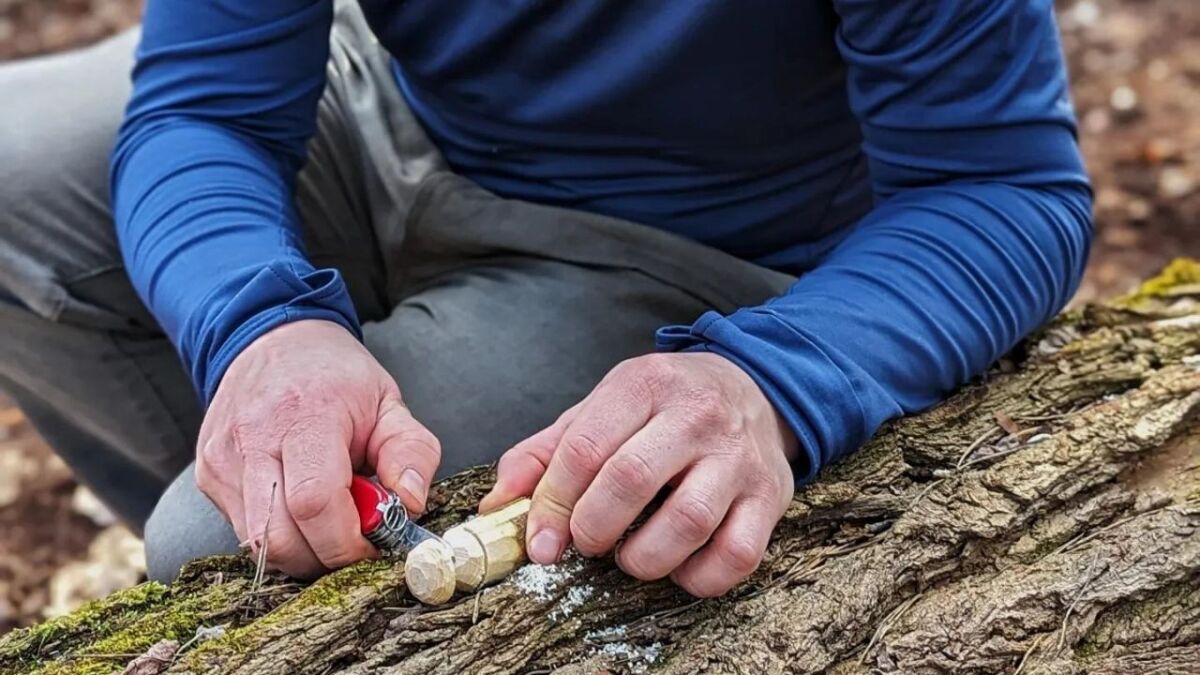 schnitzen 1 besten schweizer taschenmesser