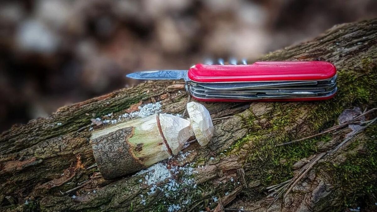 ➡️ Test And Review: Victorinox Huntsman Pocket Knife