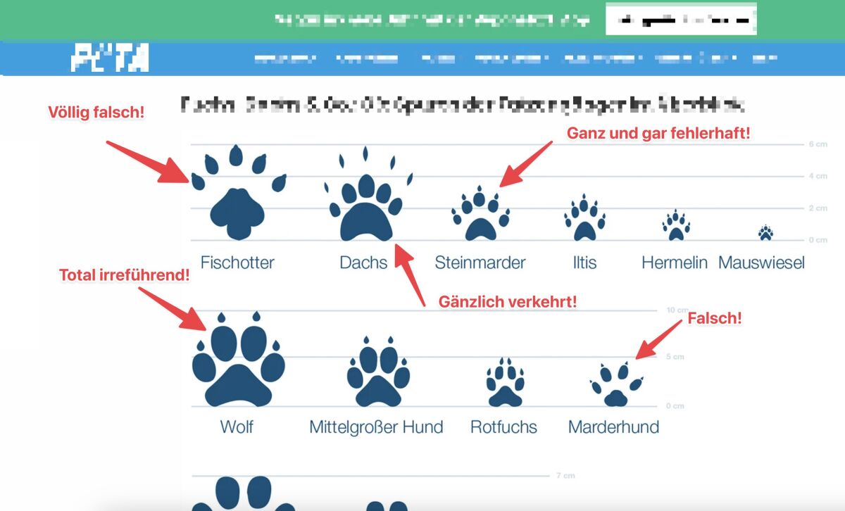 Screenshot einer Website zu Tierspuren im Schnee - Achtung: Fehlinformationen!