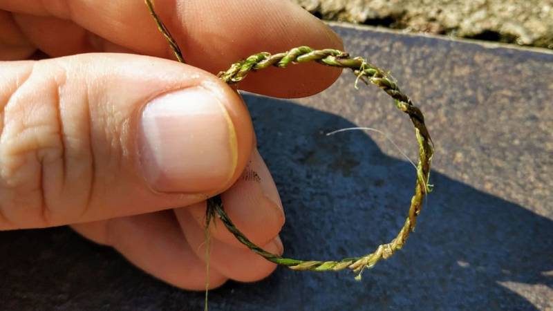 Rope made from stinging nettle fibers