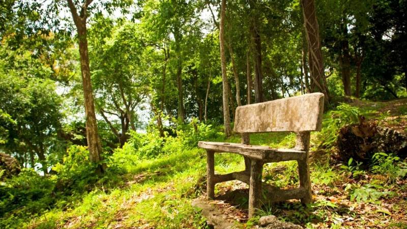 Warum der Sitzplatz das Wunderwerkzeug der Wildnispädagogik ist