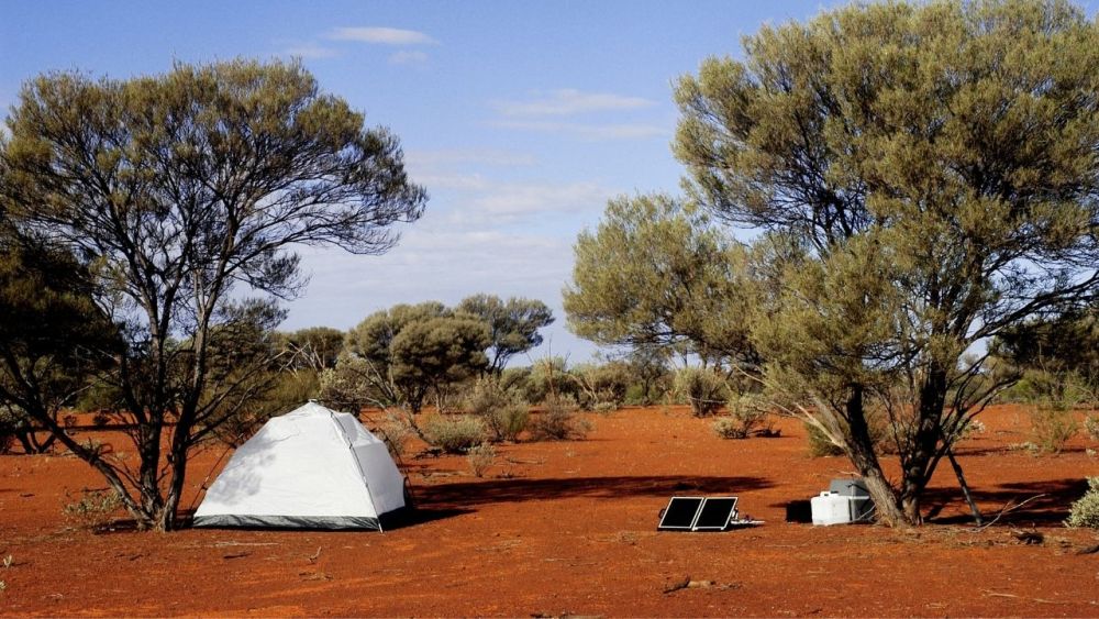 Solar panels are especially useful in remote areas for generating electricity