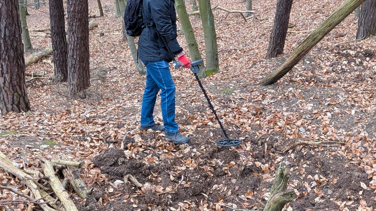 sondengaenger wald umgegrabene erde