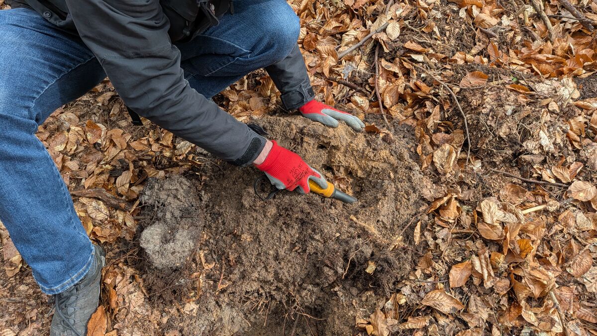 sondler rote handschuhe erde laub