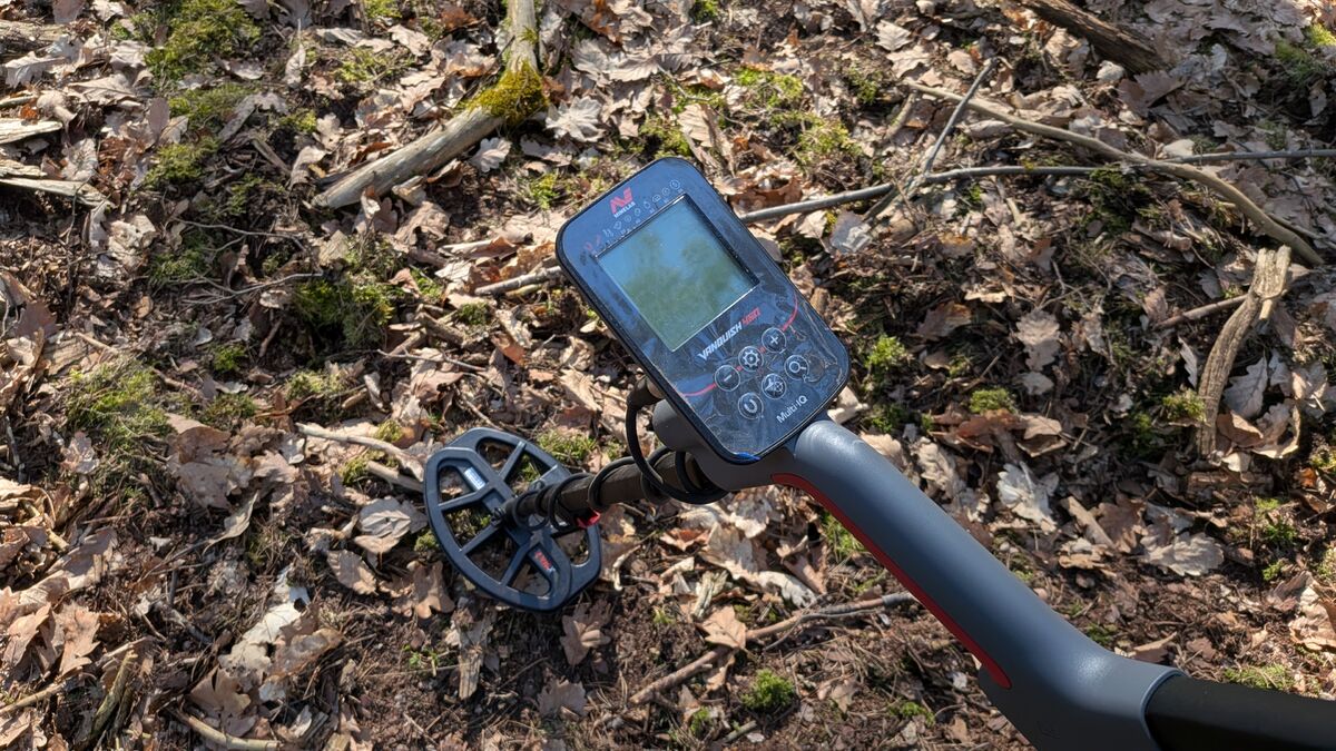 sonniger metalldetektor waldboden laub