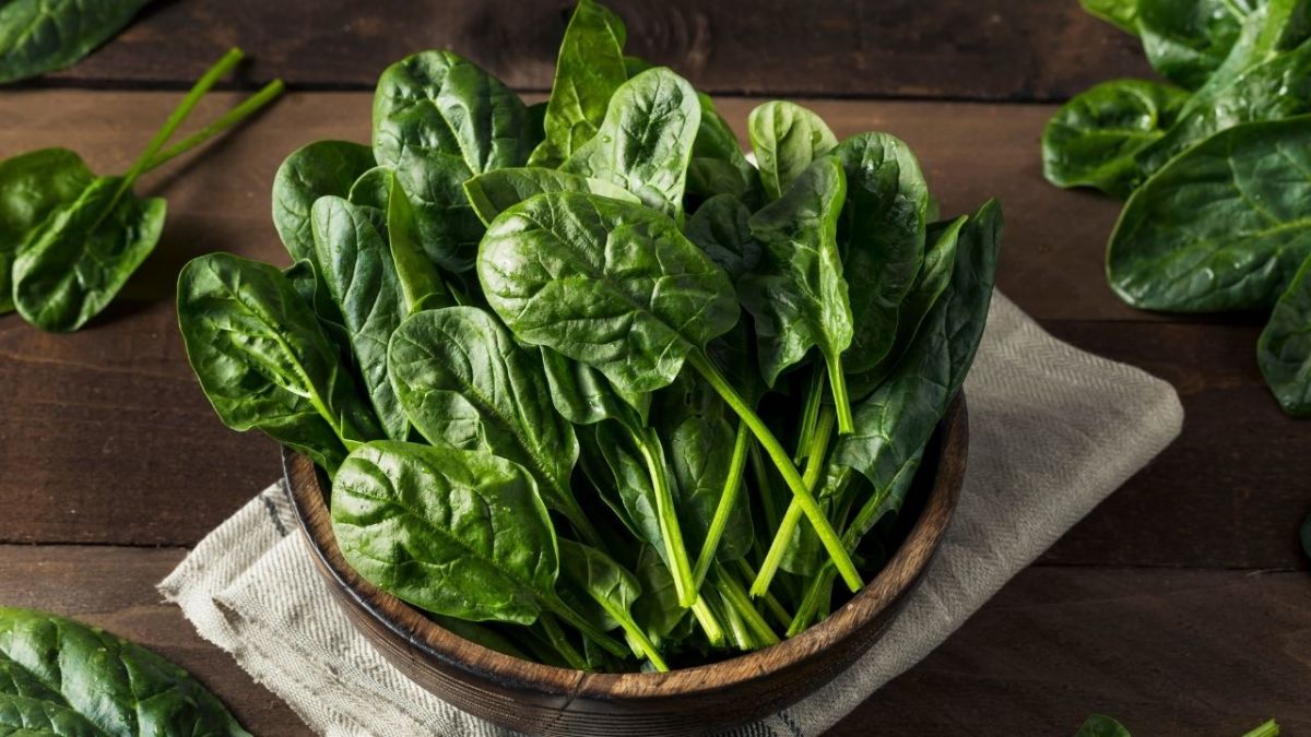 Spinach contains a good amount of protein, which is important for the building and repair of tissue in the body.