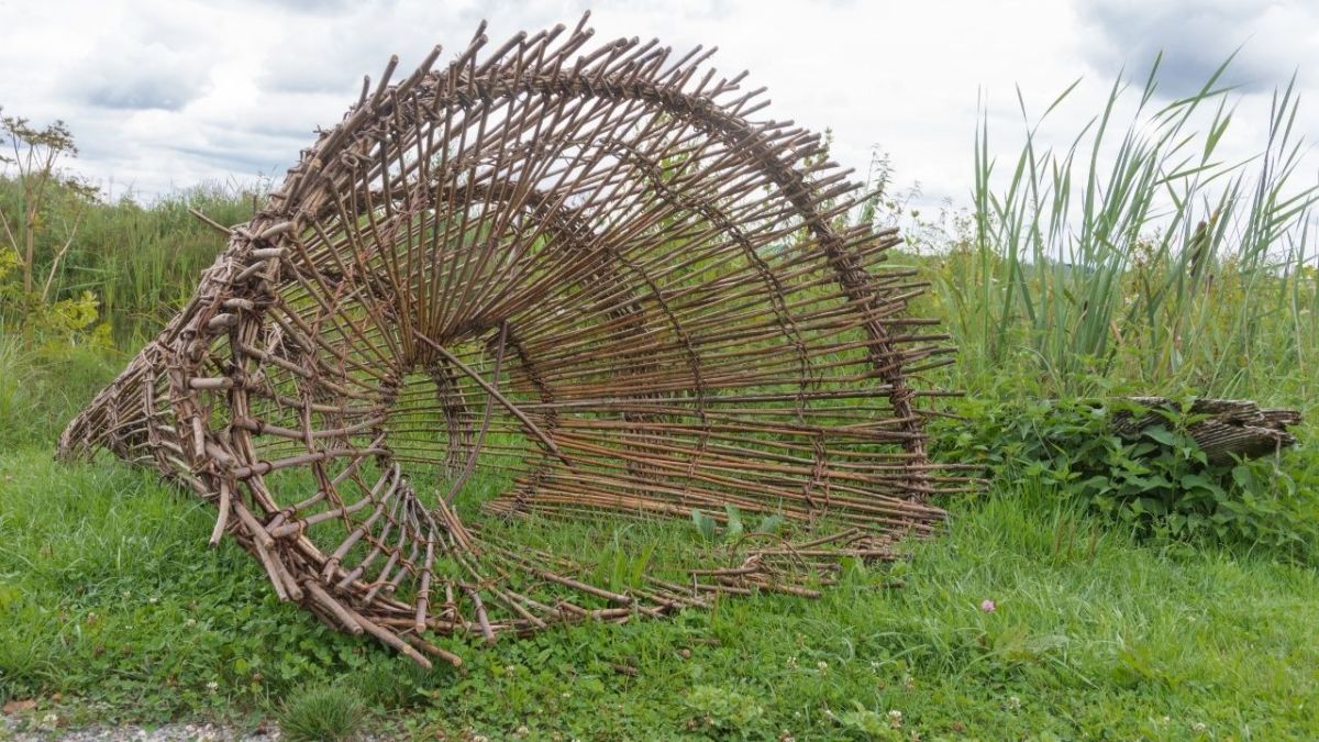 An ancient fish trap, still used today