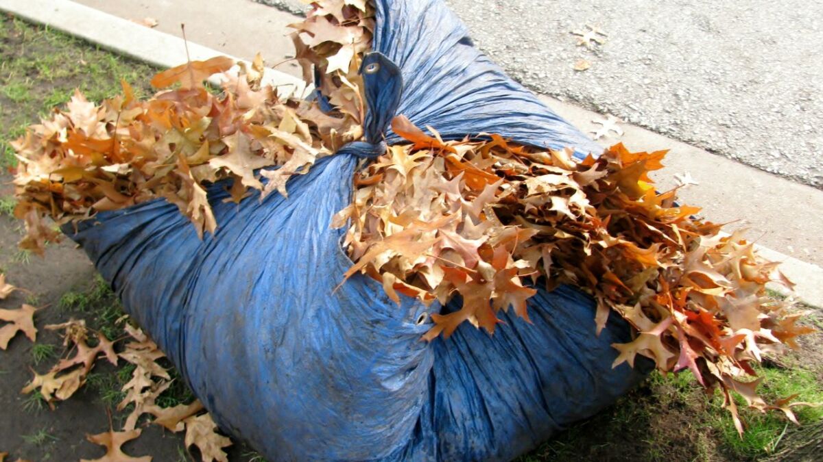 Tarp as a container