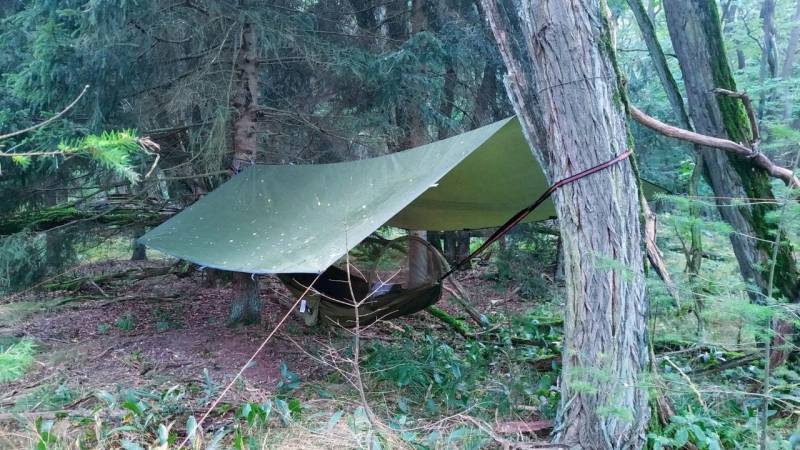 Das Unigear Tarp 3 x 4 Meter im Einsatz im Wald mit Hängematte